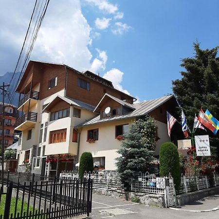 Pensiunea Capra Neagra Buşteni Dış mekan fotoğraf