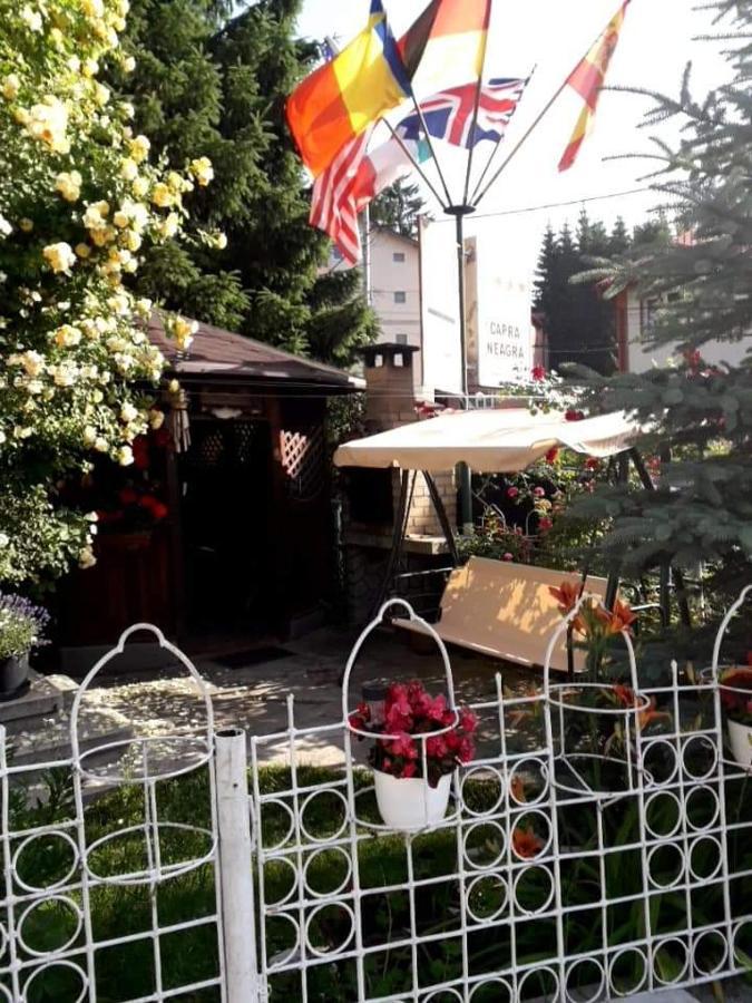 Pensiunea Capra Neagra Buşteni Dış mekan fotoğraf