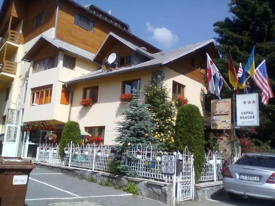 Pensiunea Capra Neagra Buşteni Dış mekan fotoğraf